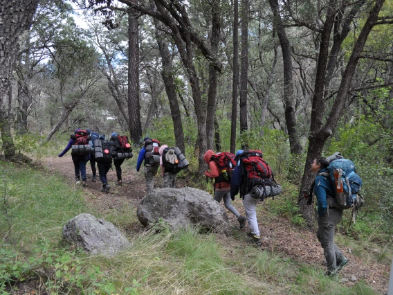 Hiking in the Chiricahuas!